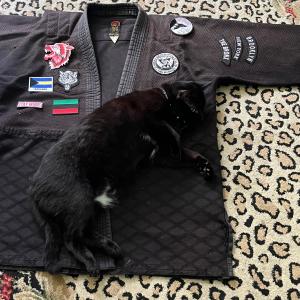 收聽Compton Timberwolf的Tomoe's Theme歌詞歌曲