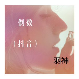 Album 倒数 (抖音热播版) oleh 羽神