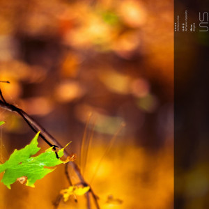 Album United Soundscapes Oriented to Nature from H-M O