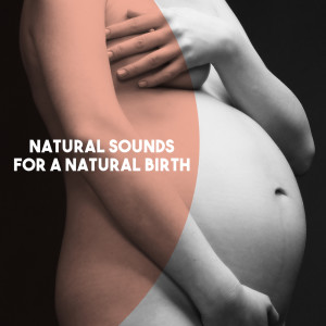 South German Philharmonic Orchestra的专辑Natural Sounds for a Natural Birth