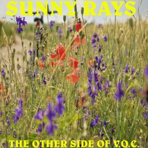 收聽The Other Side Of V.O.C.的No Breeze歌詞歌曲