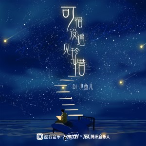 Album 可惜没遇见珍惜 from DJ 小鱼儿