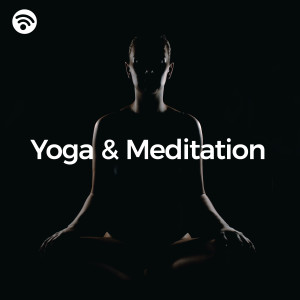 Reiki Ensemble的專輯Yoga & Meditation