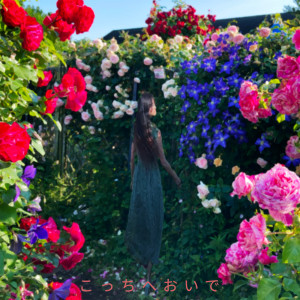 Album Come here (feat. Jelly Hyodo) from Ryo