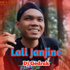 Album Lali Janjine from Dj Gedruk