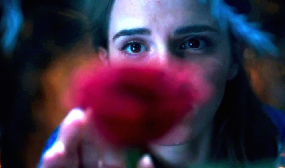 default column 1205x682 img