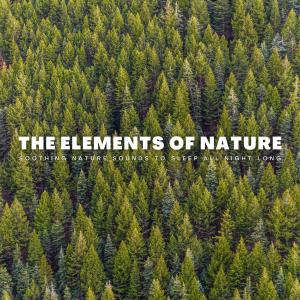 Album The Elements Of Nature: Soothing Nature Sounds To Sleep All Night Long from Deep Sleep Relaxation