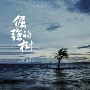 Listen to 倔强的树 (伴奏) song with lyrics from Tank