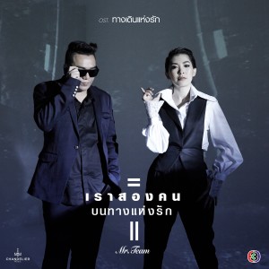 Listen to เราสองคนบนทางแห่งรัก (เพลงประกอบละคร ทางเดินแห่งรัก) song with lyrics from Mr.Team