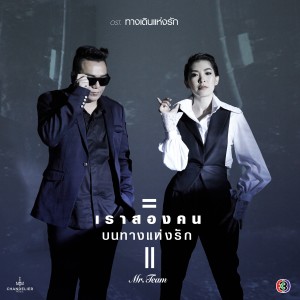 Album เราสองคนบนทางแห่งรัก (เพลงประกอบละคร ทางเดินแห่งรัก) from Mr.Team