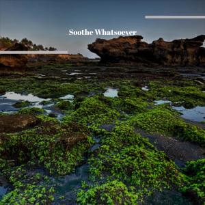 收聽Shereda的Mentality歌詞歌曲