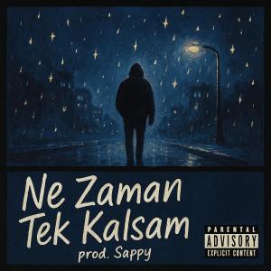 Kaan的專輯ne zaman tek kalsam
