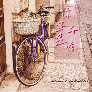 Album 你还是个啥 from DJR7