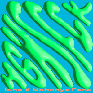 收听Nobodys Face的HGHSFCK歌词歌曲