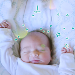 Listen to 너의 작고 귀여운 발 Your Small And Cute Feet song with lyrics from 사이프러스