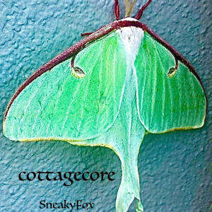 收聽SneakyFox的do androids dream of electric sheep (feat. GhostNotes)歌詞歌曲