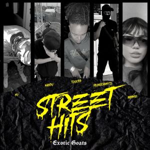 Various Artists的專輯Street Hits 2 (Explicit)