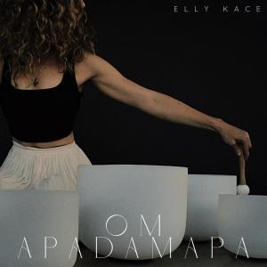 ดาวน์โหลดและฟังเพลง Om apadamapa (feat. Lia Kohl) พร้อมเนื้อเพลงจาก Elly Kace