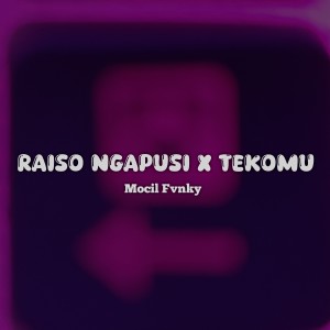Album RAISO NGAPUSI X TEKOMU from Mocil Fvnky