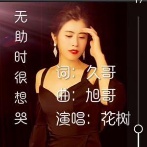 Listen to 无助时好想哭 (完整版) song with lyrics from 久哥