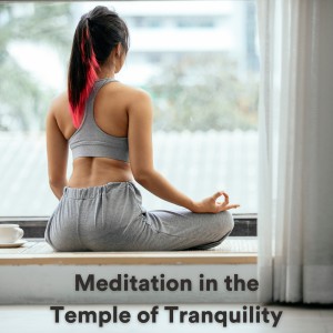 Album Meditation in the Temple of Tranquility from Healing Music Spirit