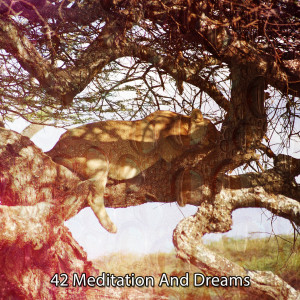 Album 42 Meditation And Dreams oleh Relaxing Music For Sleeping