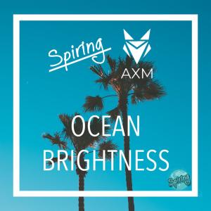 收聽Spiring的Ocean Brightness(feat. AXM)歌詞歌曲
