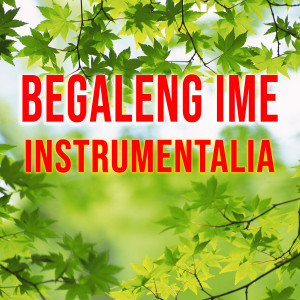Fitri Handayani的專輯Begaleng Ime Instrumentalia