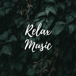 Dengarkan lagu Beautiful Relaxing Music nyanyian Peaceful Relaxation dengan lirik