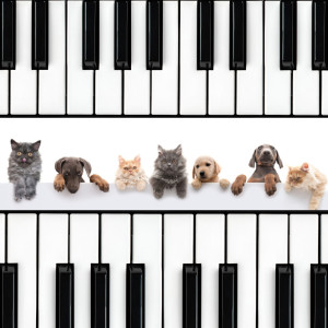 Classical New Age Piano Music的專輯Piano's Serenade for Paws: Ethereal Pet Delight