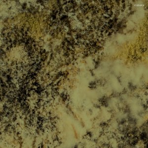 Listen to Submission (Dan Rubell Remix) song with lyrics from Camoflash