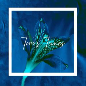 Linreng的专辑Tom's Tunes