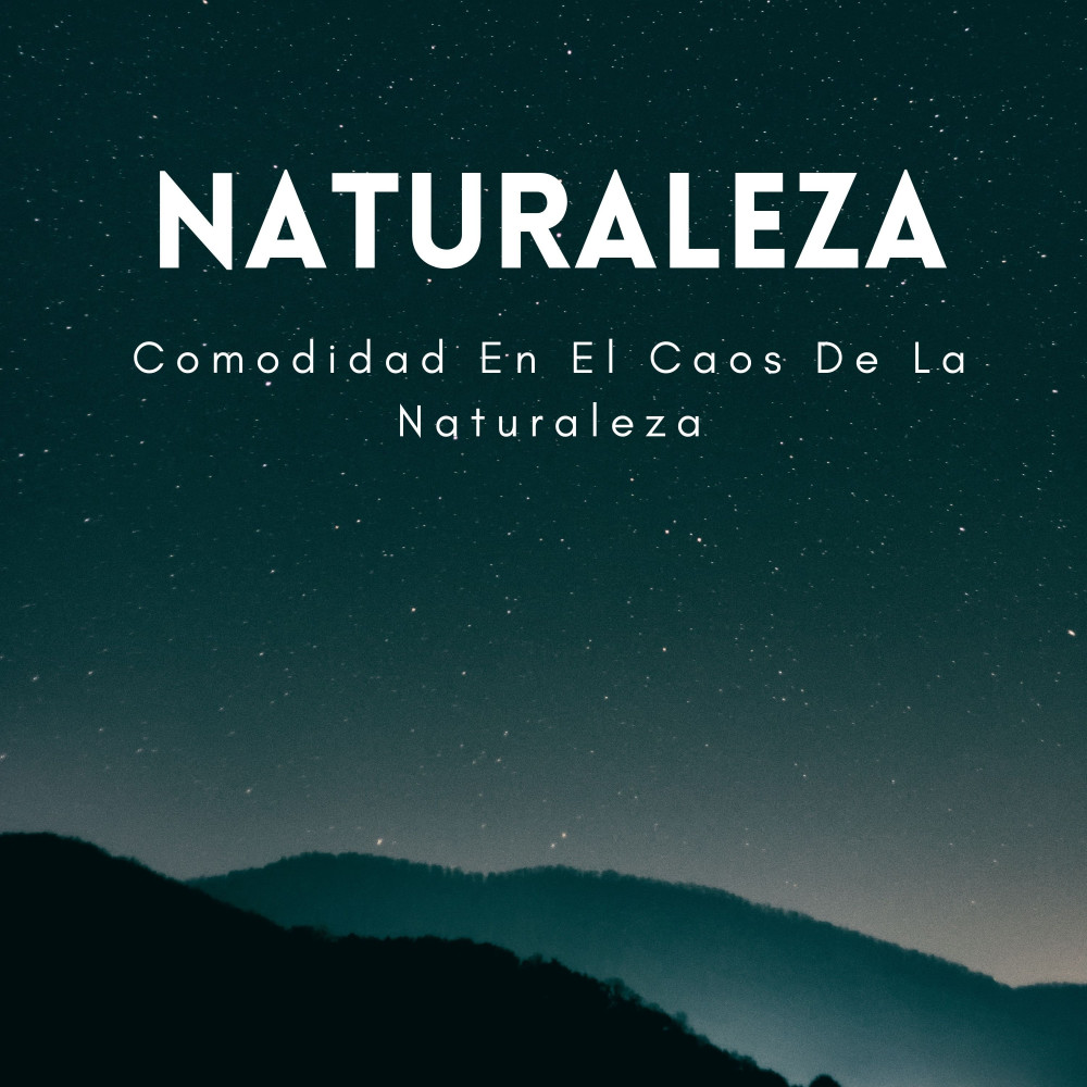 Asentimiento De La Selva Tropical