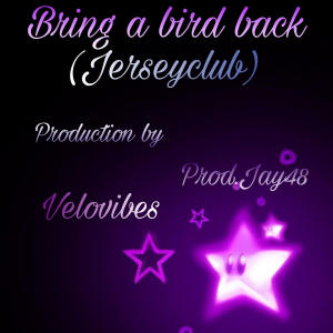 收聽Prod Jay48的Bring A Bird Back (feat. Velovibes)歌詞歌曲