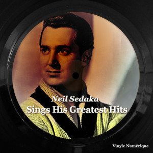 收听Neil Sedaka的You Mean Everything to Me歌词歌曲