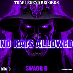 Listen to No Rats Allowed (Slowed Down) (Explicit) song with lyrics from Swagg B
