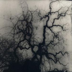 收聽Phantom Eclipse的i've become cold (Explicit)歌詞歌曲