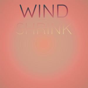 Various Artists的專輯Wind Shrink