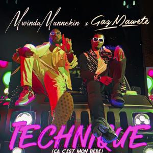 อัลบัม Technique ศิลปิน Mwinda Mannekin