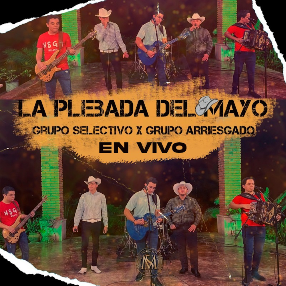 La Plebada Del Mayo