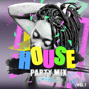 Album House Party Mix Vol.1 from Various
