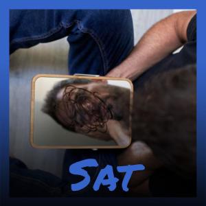 Sat dari Various