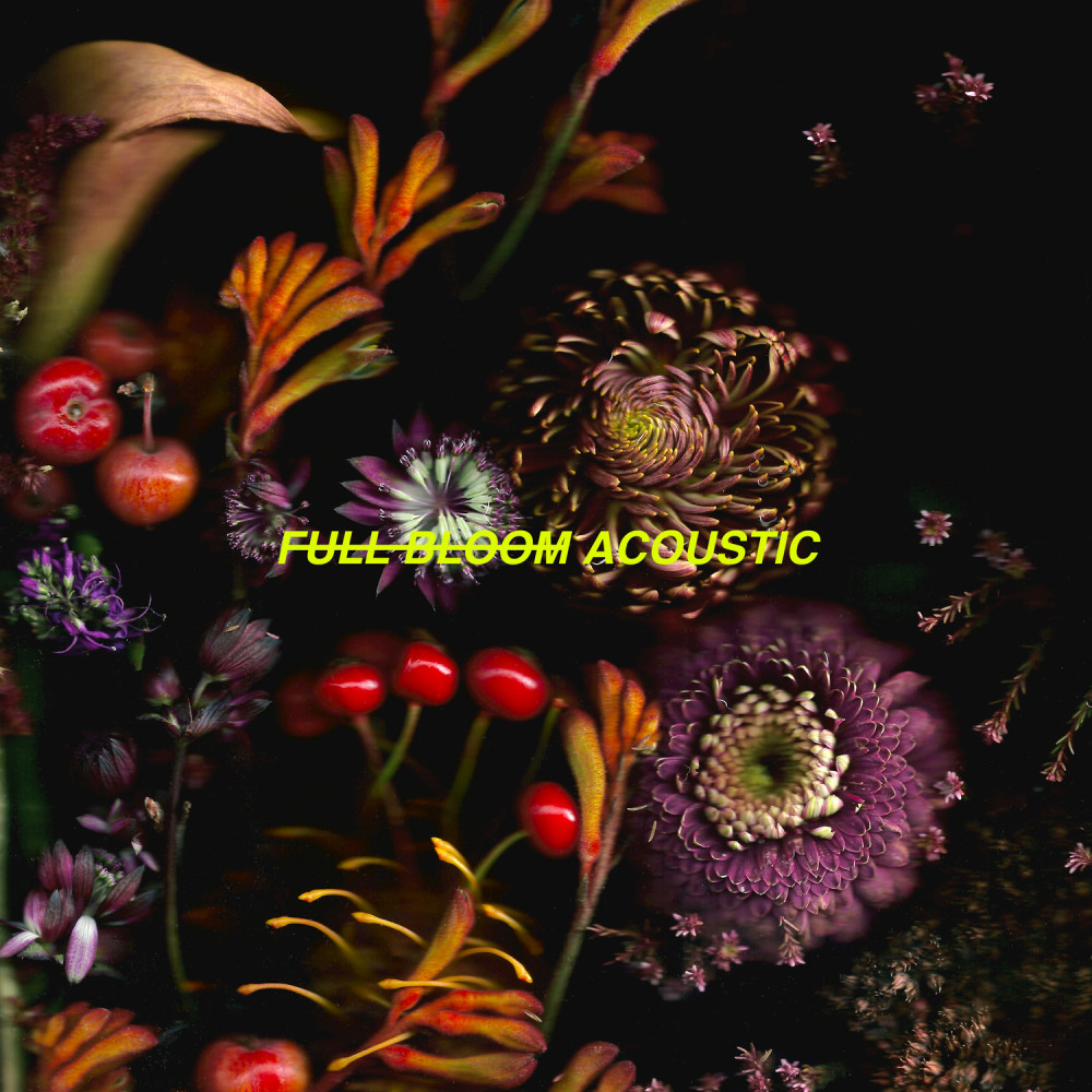 Out Of View (Acoustic Version)