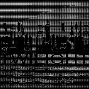 Listen to Twilight (Dub) song with lyrics from Tiger Stripes