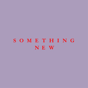 GOOSE的專輯Something New