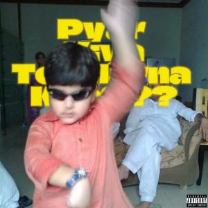 Flawless的專輯Pyar Kiya Tou Darna kya? (feat. AARGH & RoonieMight) [Explicit]