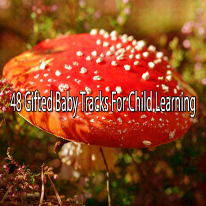 48 Gifted Baby Tracks for Child Learning