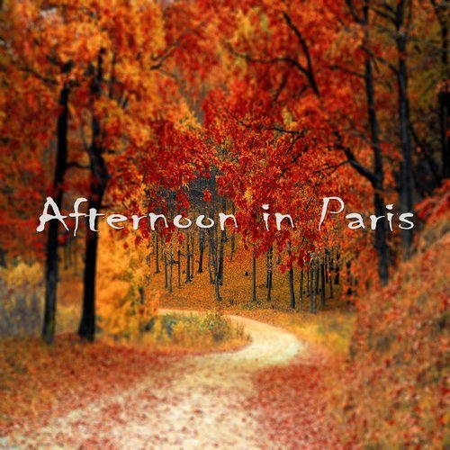 Arternoon in Paris