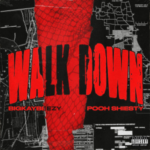 Walk Down (feat. Pooh Shiesty) (Explicit) dari Pooh Shiesty