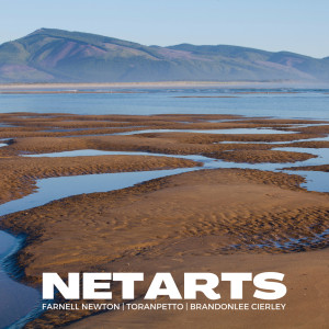 Listen to Netarts song with lyrics from Farnell Newton